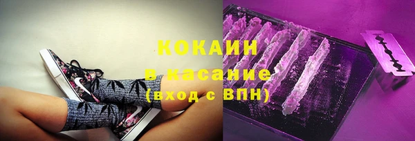 шишки Ладушкин