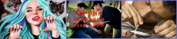 шишки Ладушкин