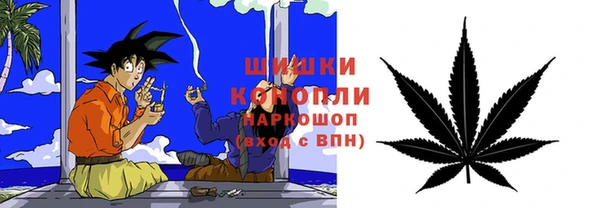 шишки Ладушкин
