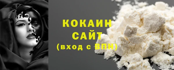 шишки Ладушкин
