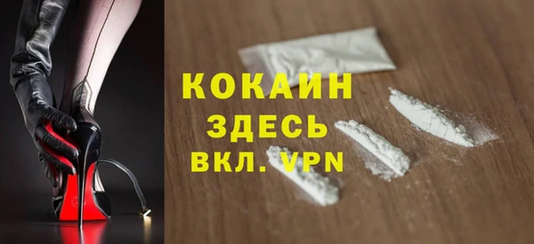 шишки Ладушкин