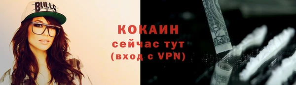 шишки Ладушкин