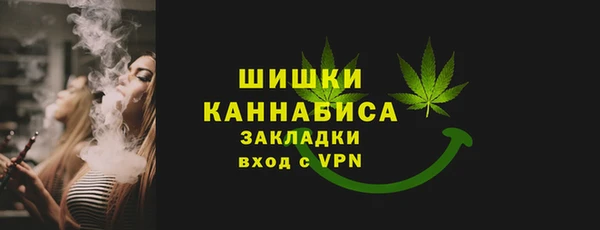 шишки Ладушкин