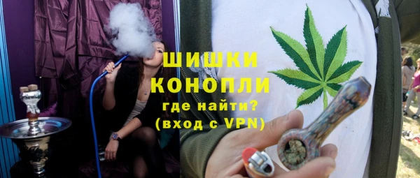 ECSTASY Лагань