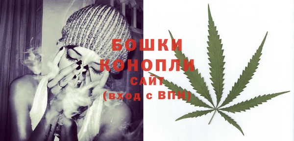 ECSTASY Лагань