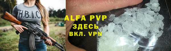 шишки Ладушкин