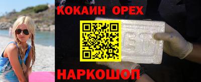 индика Гатчина