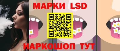 индика Гатчина