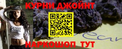 индика Гатчина