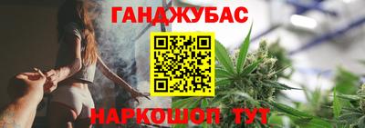 индика Гатчина