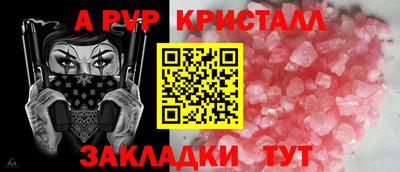 индика Гатчина