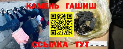 индика Гатчина