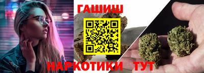индика Гатчина