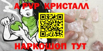 индика Гатчина
