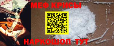 индика Гатчина