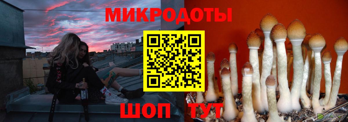 Галлюциногенные грибы MAGIC MUSHROOMS  что такое   Люберцы  Вход с VPN 